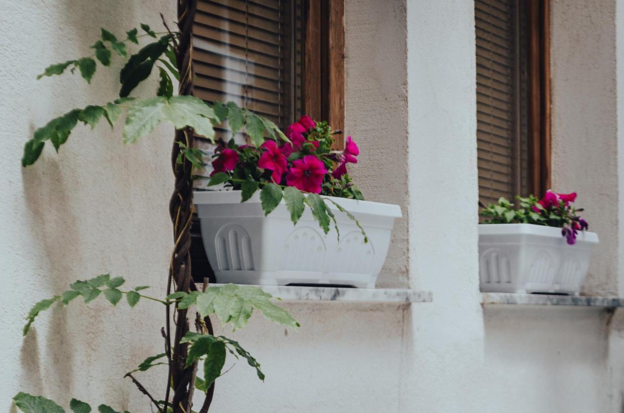 Oda Hostel Prishtine Bagian luar foto